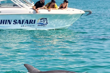 Dolphin House & Abu Monqar Island Snorkeling Trip – Hurghada