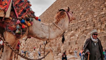 👉 Booking Cheap Tours in Egypt: The Ultimate Smart & Safe Guide Saving Money Without Risk