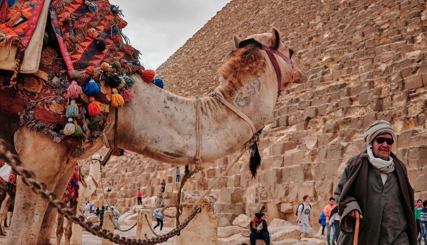 👉 Booking Cheap Tours in Egypt: The Ultimate Smart & Safe Guide Saving Money Without Risk